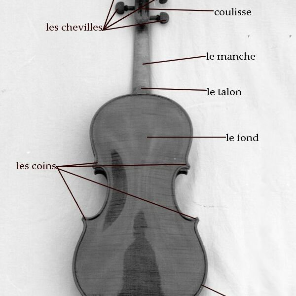 violon-nom-fond